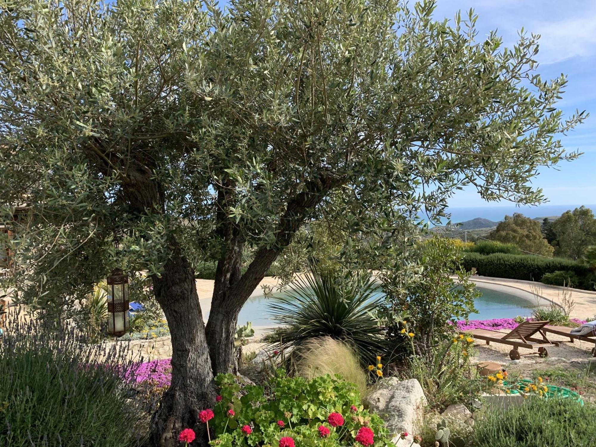 ריאלמונטה Casa Balata Farm House מראה חיצוני תמונה