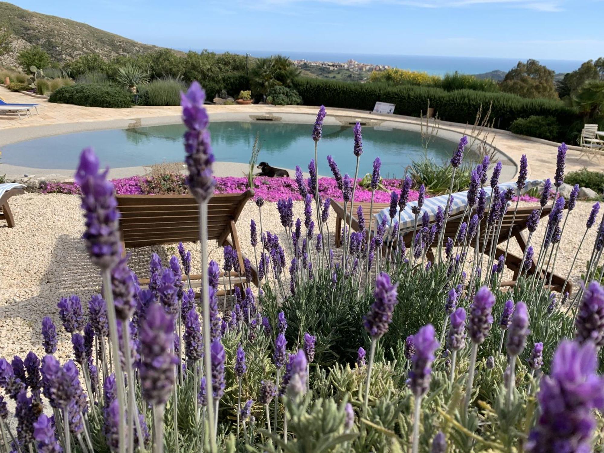 ריאלמונטה Casa Balata Farm House מראה חיצוני תמונה
