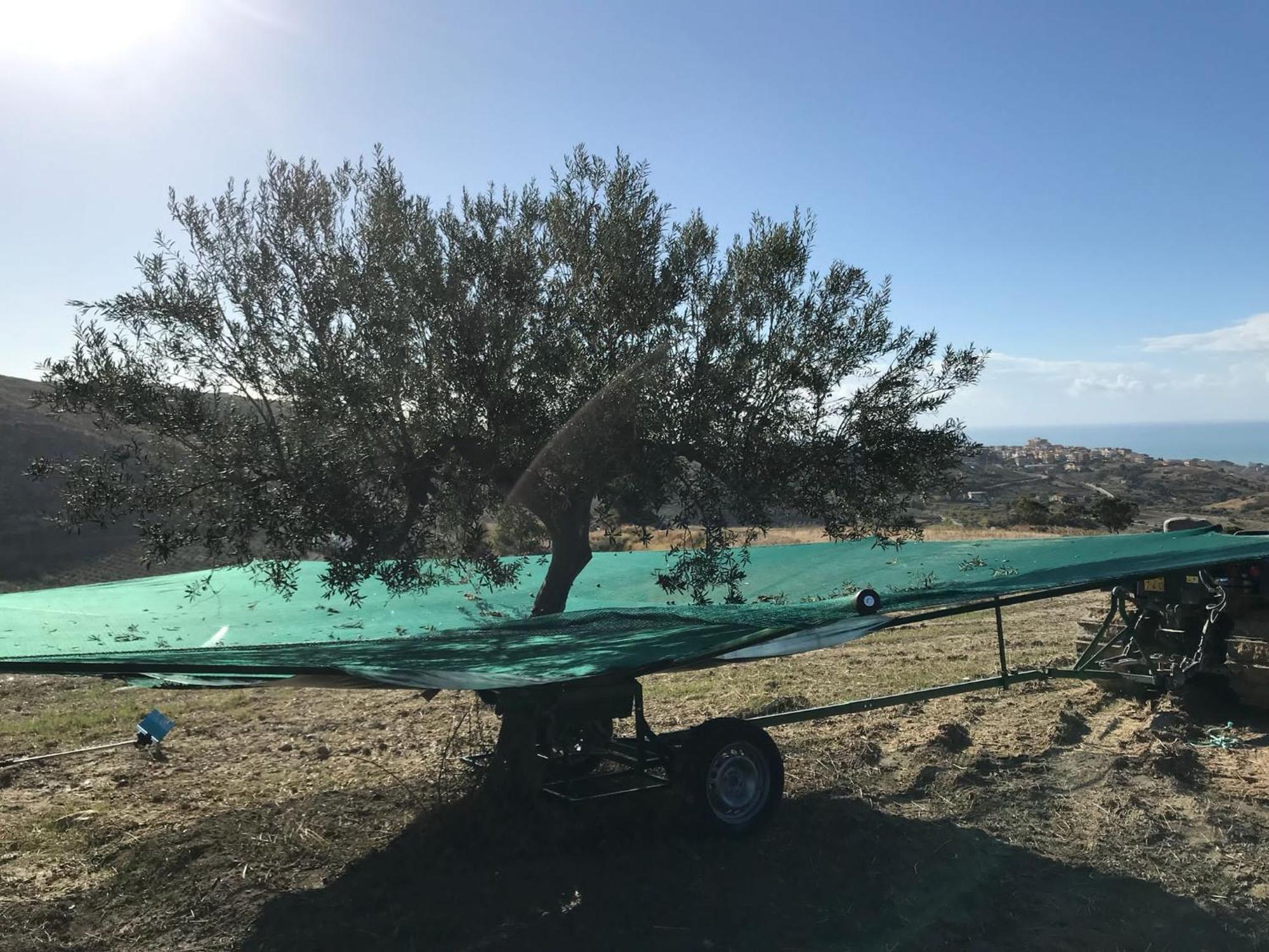 ריאלמונטה Casa Balata Farm House מראה חיצוני תמונה